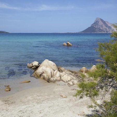 Appartamento Mare Sardegna Porto San Paolo Dış mekan fotoğraf